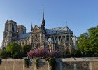 Notre Dame